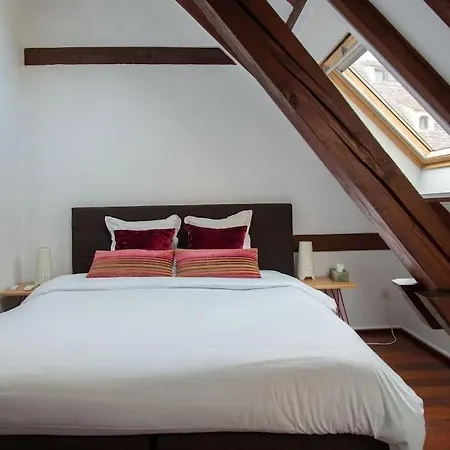 Apartment L'or - Typical Alsacian In